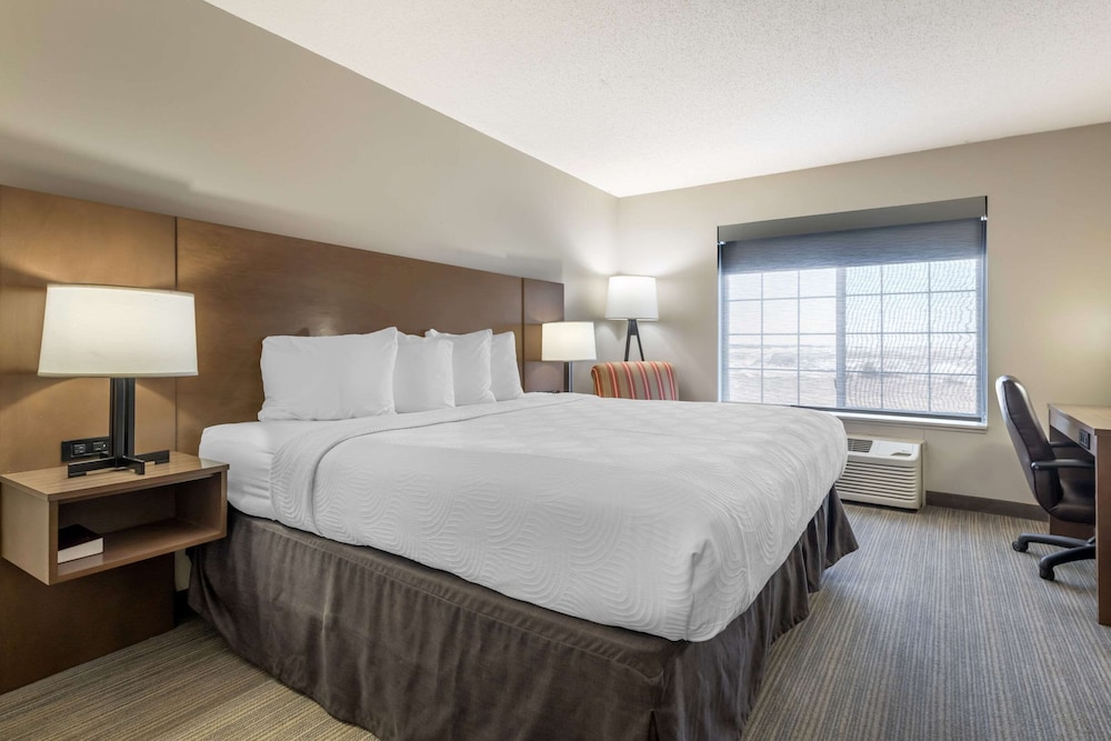 Room, King Bed