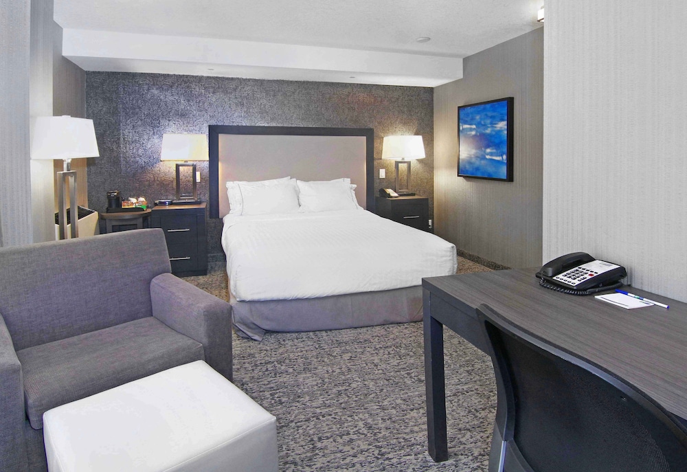 Holiday Inn Express Hotel & Suites Calgary 20/71