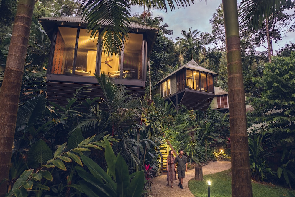 Daintree Ecolodge in DAINTREE