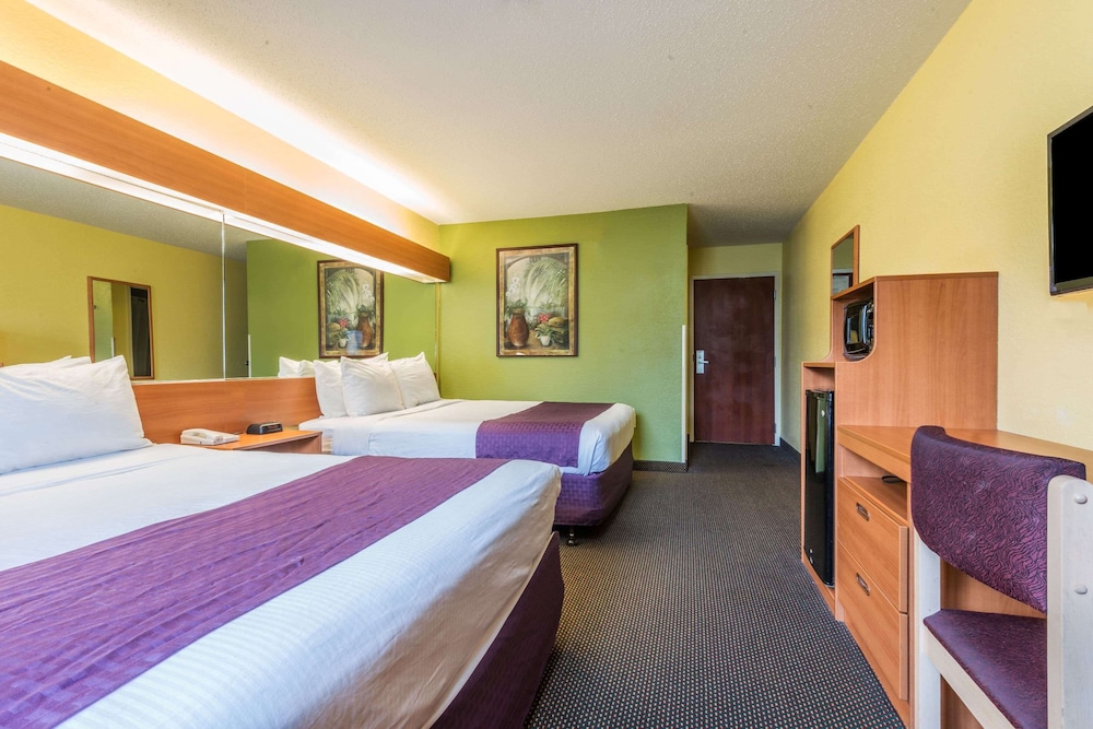 Microtel Inn Suites By Wyndham Auburn 18/22