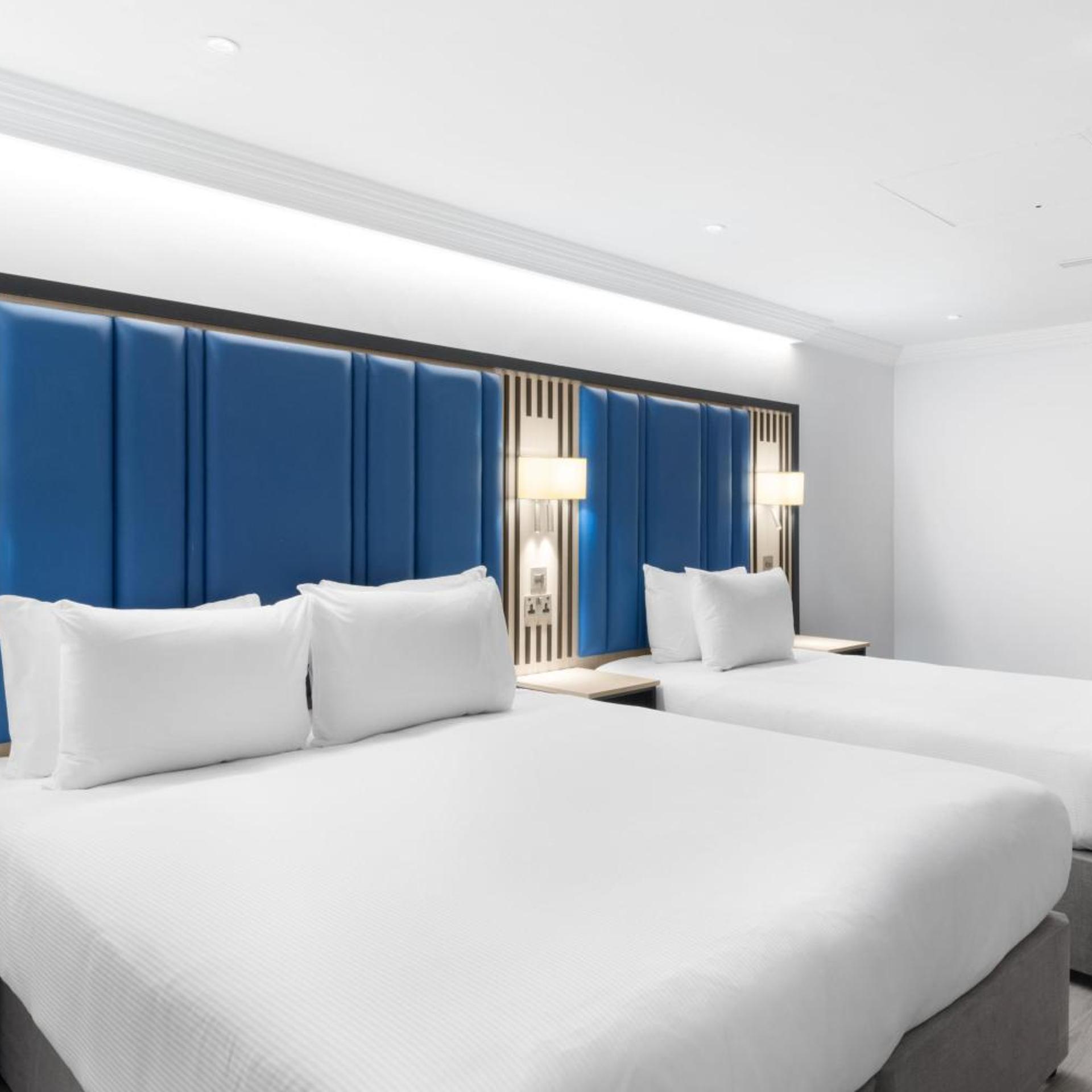 Room, Single Bed, Queen Bed, No Window