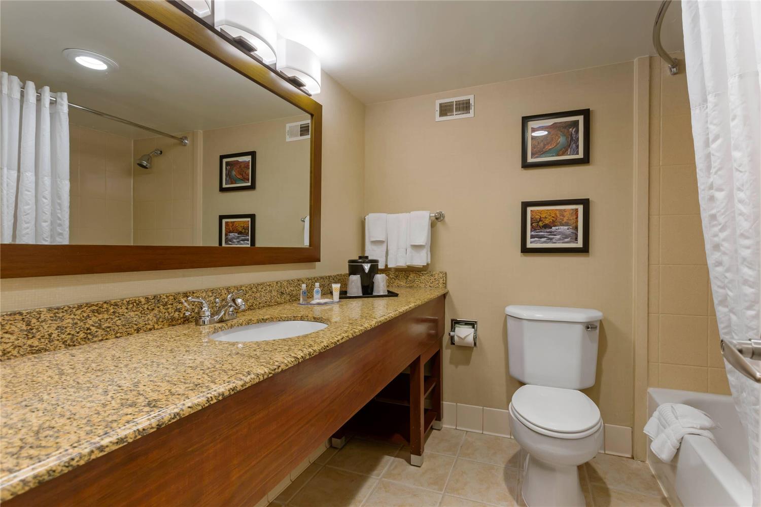Comfort Inn and Suites Presidential 33/33