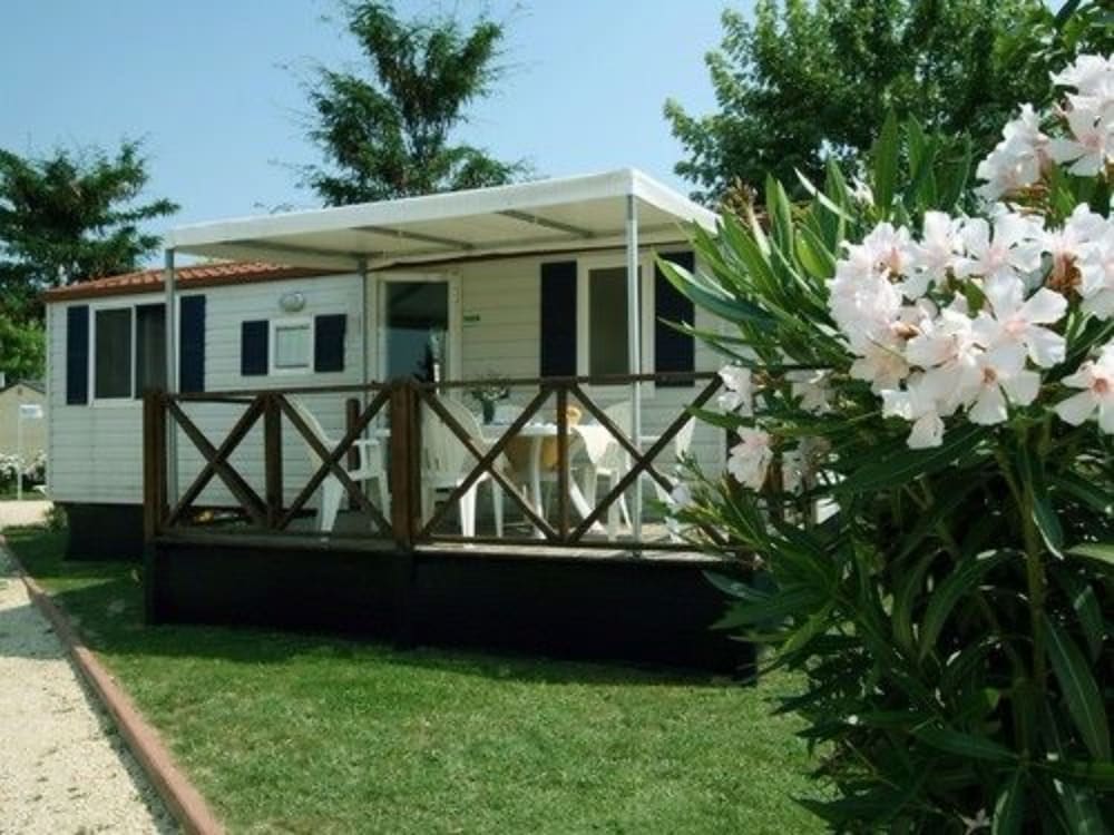 Butterfly Camping Village 3/46