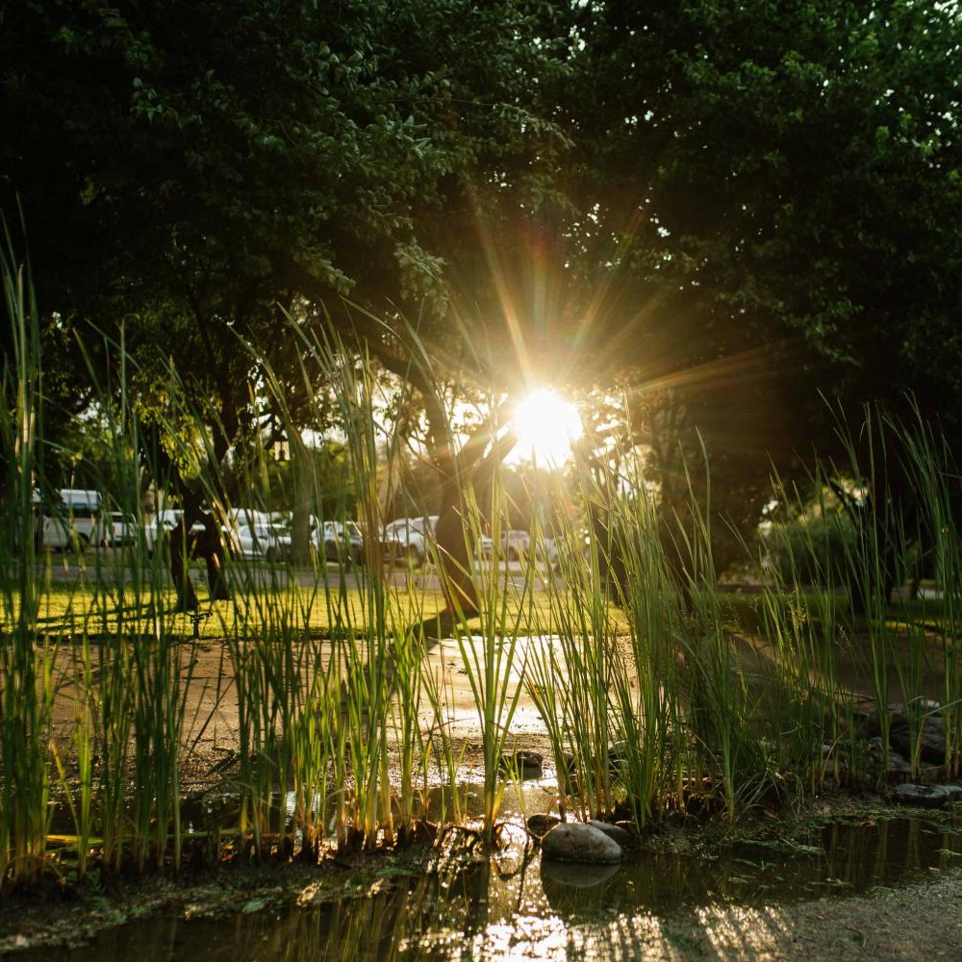 African Vineyard Guest House & Wellness Spa 41/50