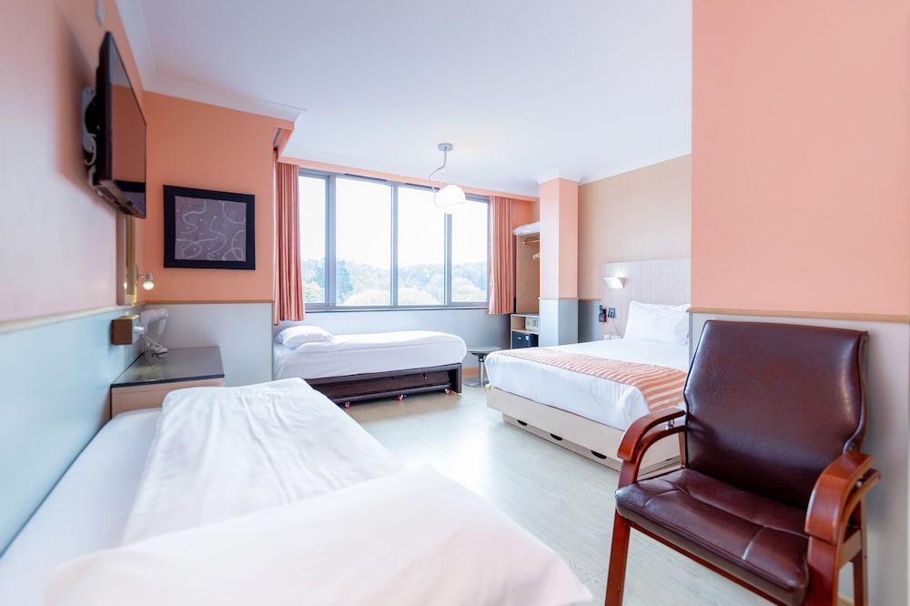 Eurotraveller Hotel Premier Harrow 27/49