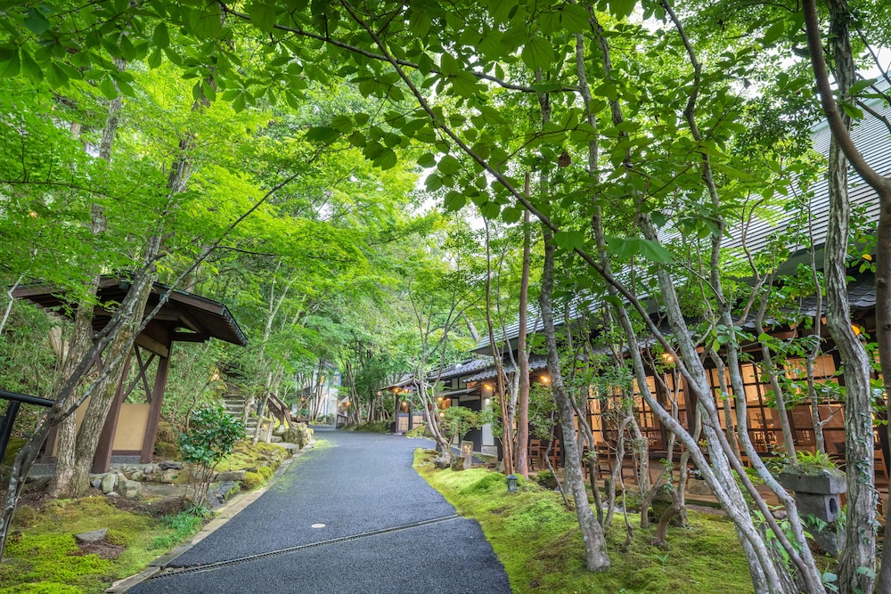 Nihon No Ashitaba 44/50