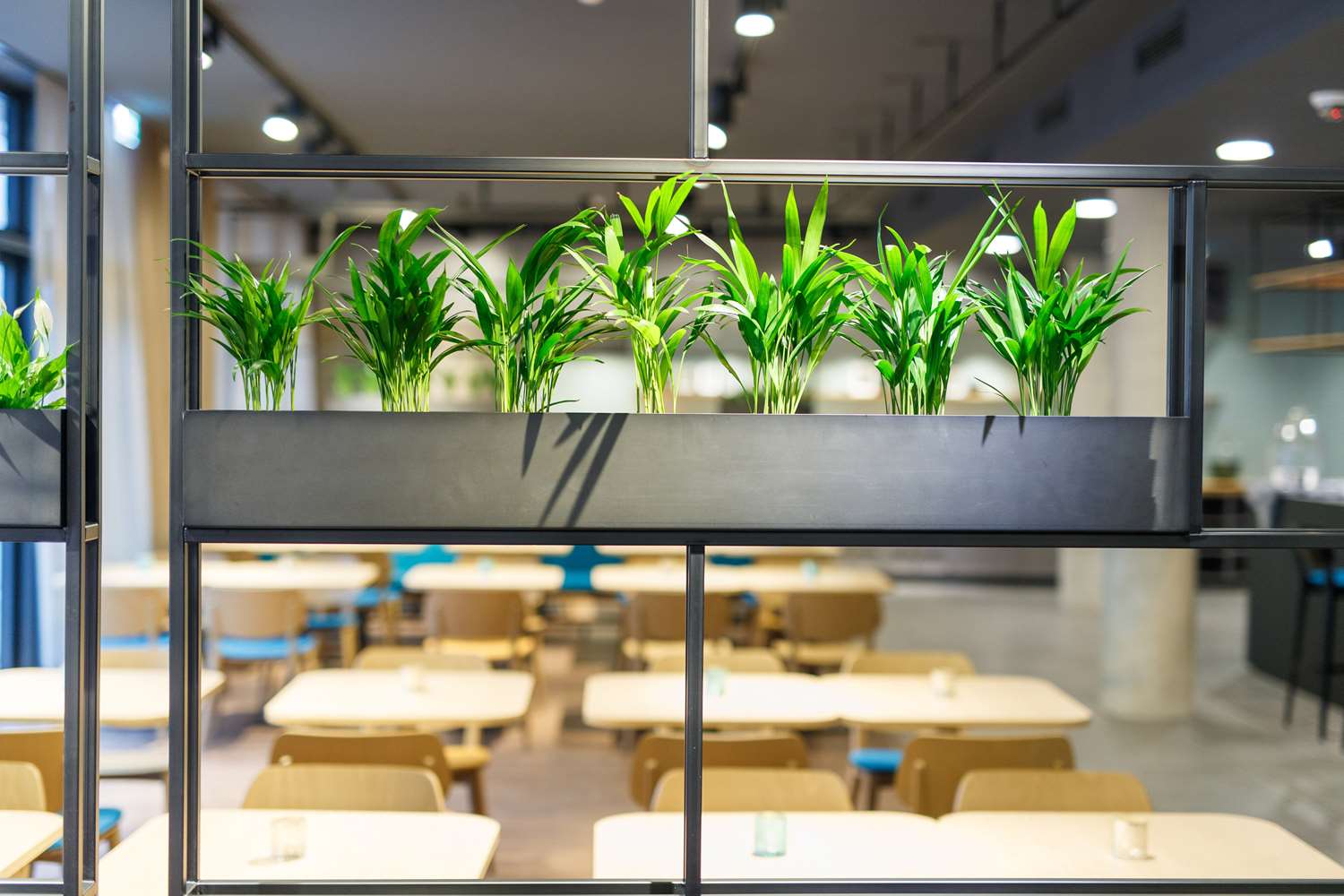 elaya hotel goeppingen, Trademark Collection by Wyndham 43/56