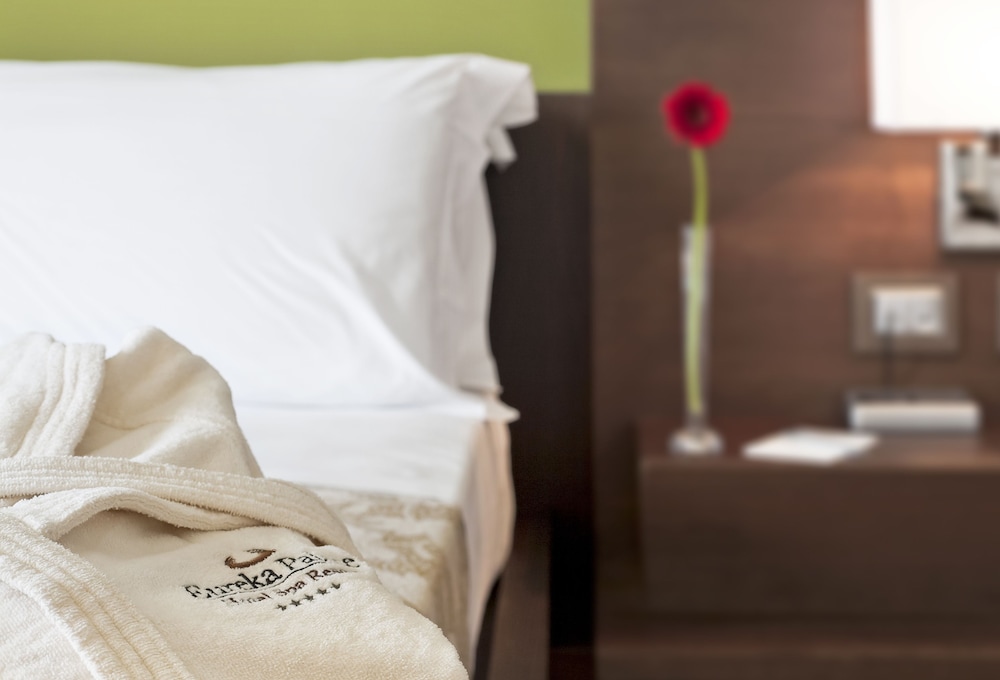Eureka Palace Hotel Spa Resort 33/62
