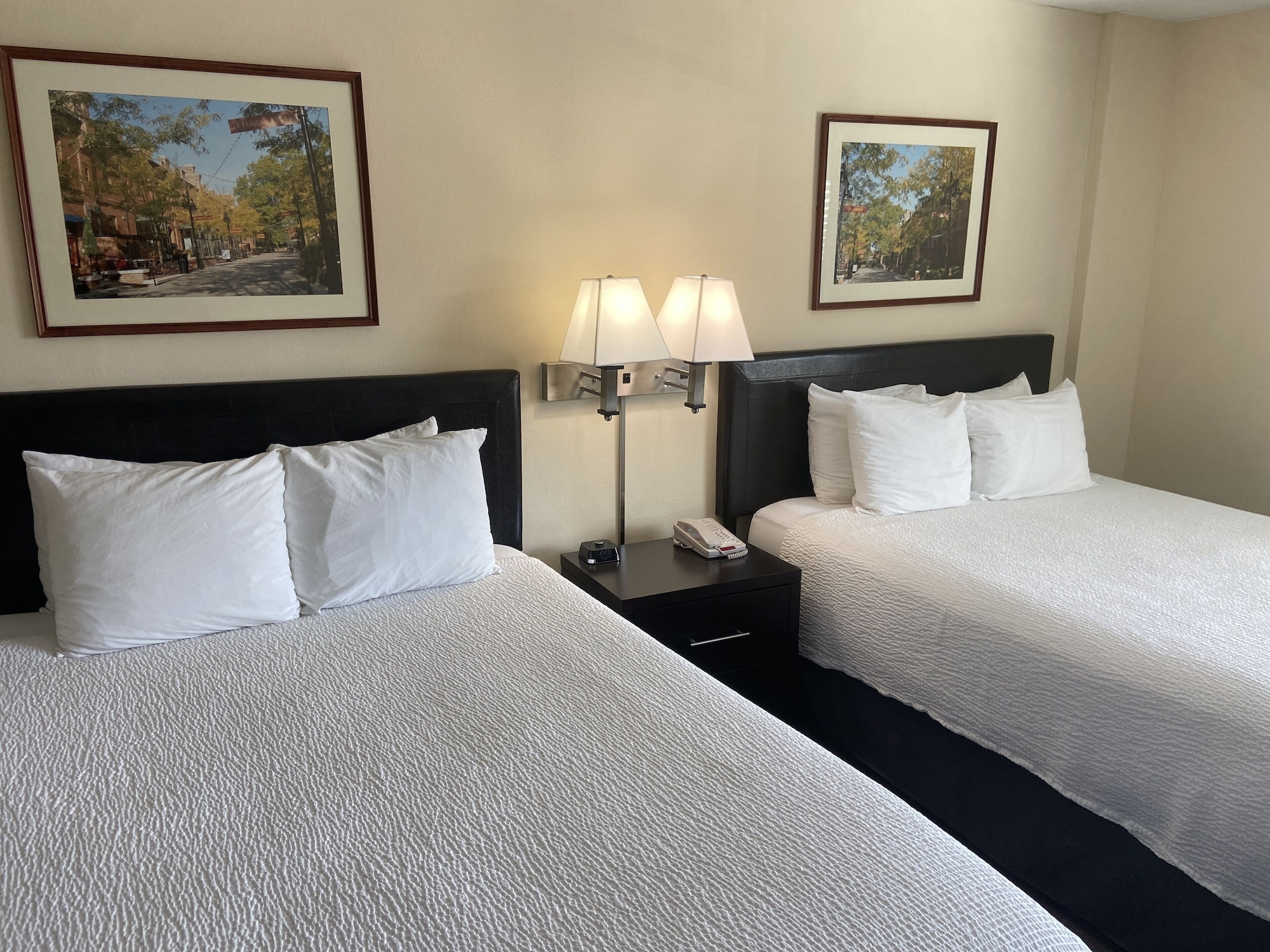 STUDIO, SUITE, MULTIPLE BEDS, KITCHENETTE