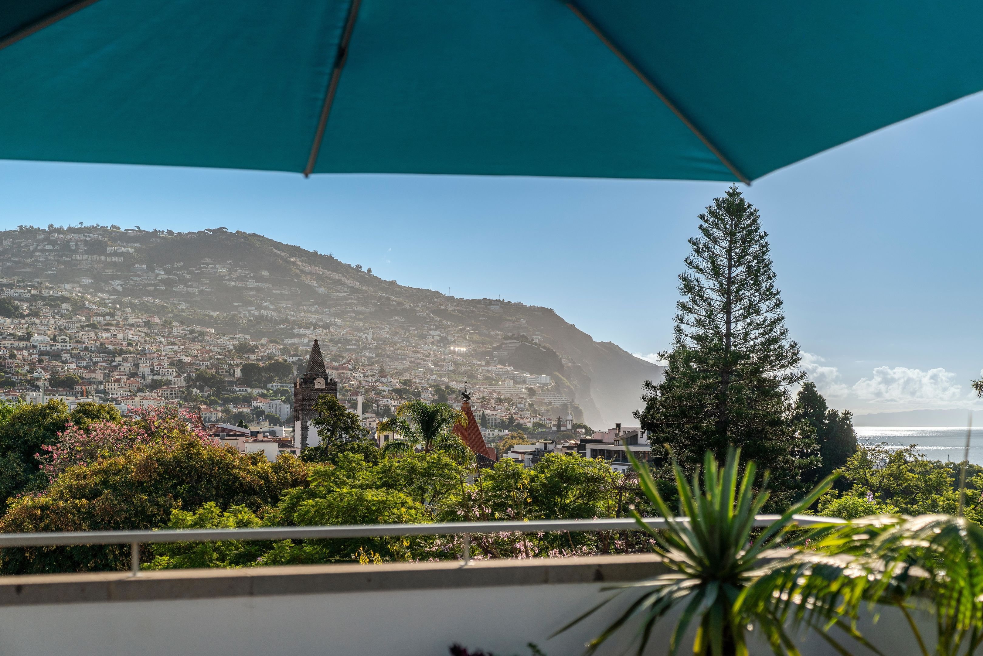Hotel Madeira 3/50