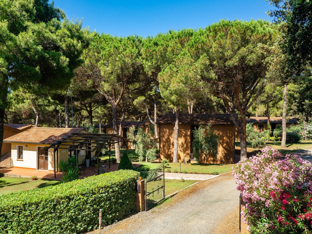 Il Paradiso 30/50