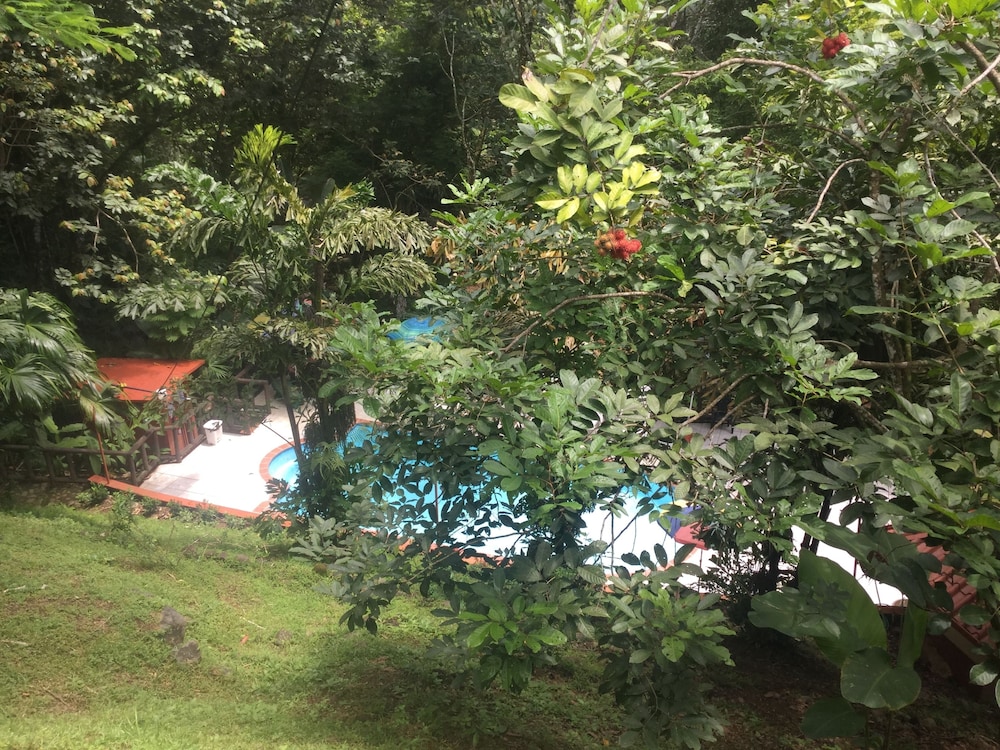 Hotel Samsara 35/44