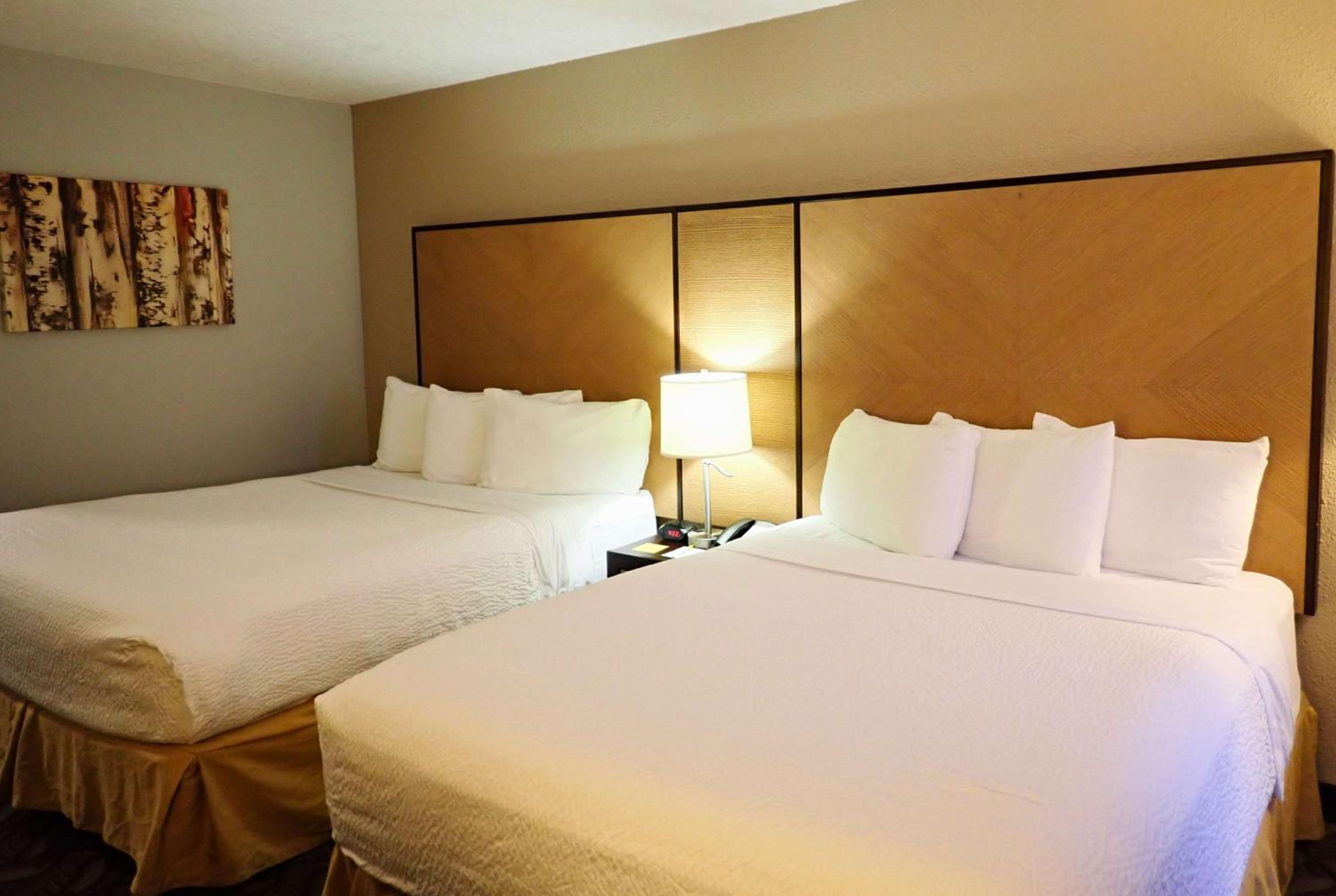 Studio, Suite, Queen Bed, Balcony