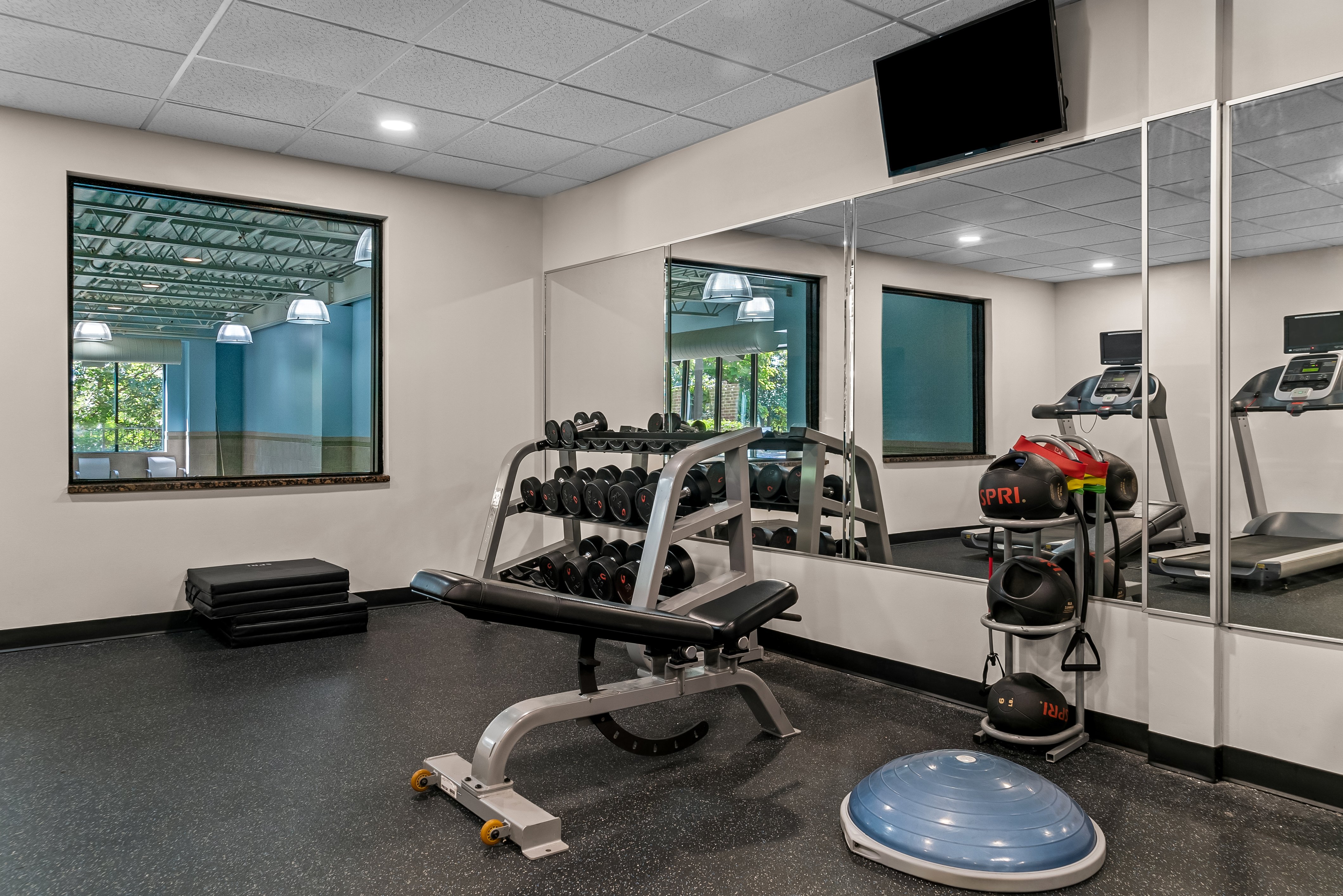 Holiday Inn Express Hotel & Suites Detroit-Novi 44/69