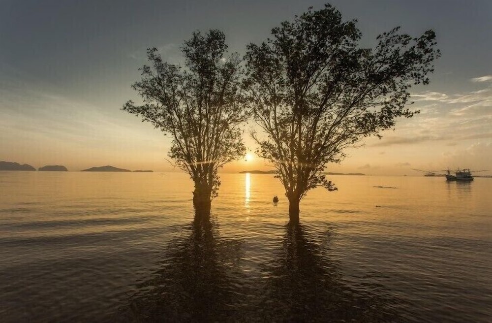 Deep House Seaview 43/55