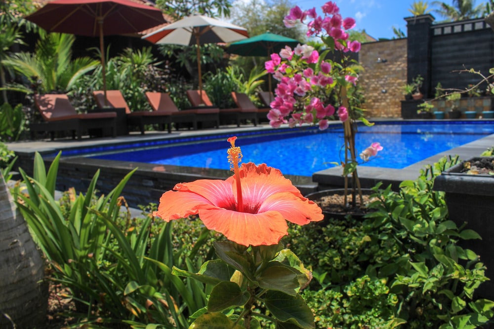 Pattri Garden Lembongan 27/38
