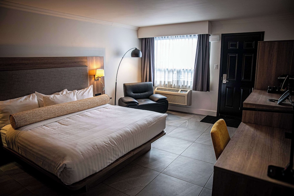 Standard, King Bed