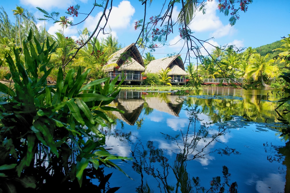 Maitai Lapita Village Huahine 61/64