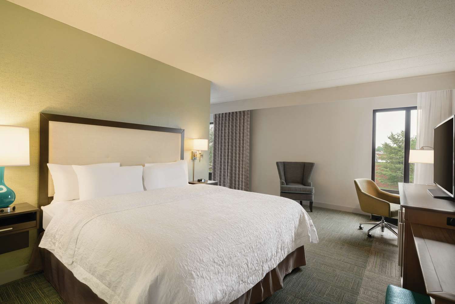 Mini, Suite, King Bed, Sofa