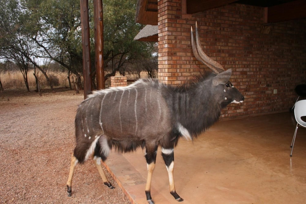 Makhato 84 Bush Lodge 39/45