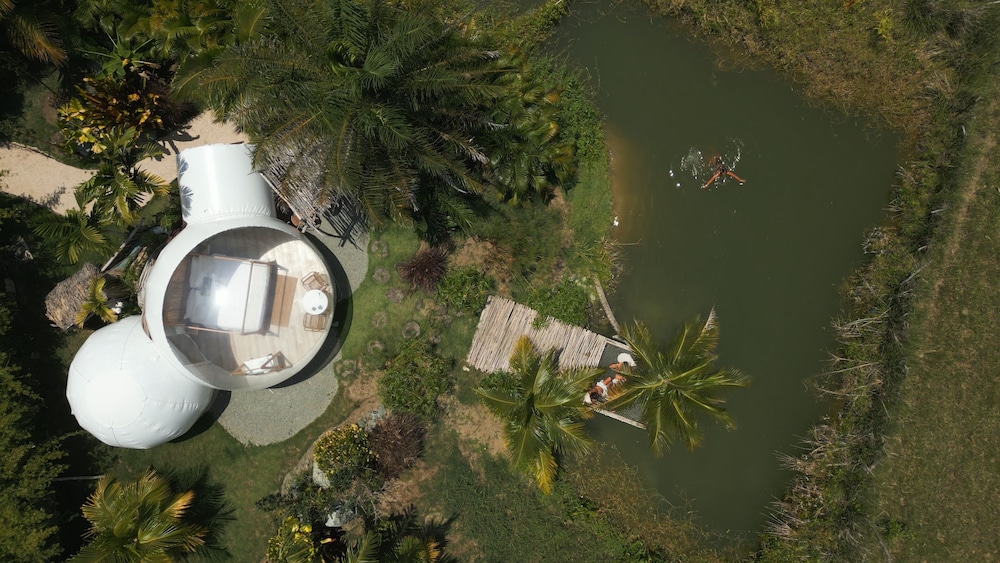Green Land Bubble Glamping 56/60