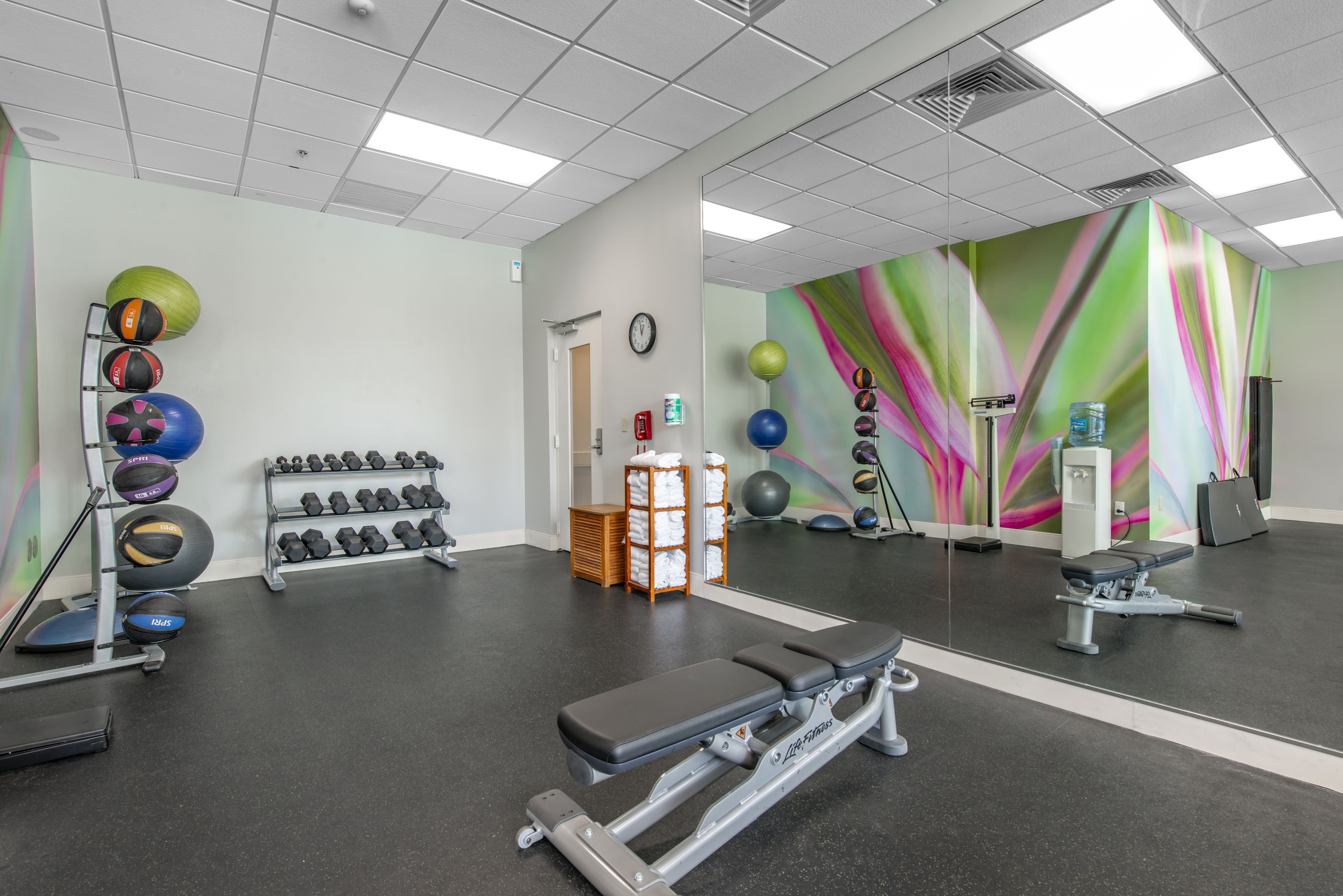Holiday Inn Orlando Disney Springs Area 38/79