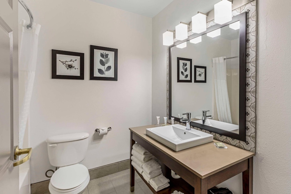 غرفة بسرير كينج لذوي الإعاقة، Country Inn & Suites By Radisson, Elk Grove Village/Itasca 9/9