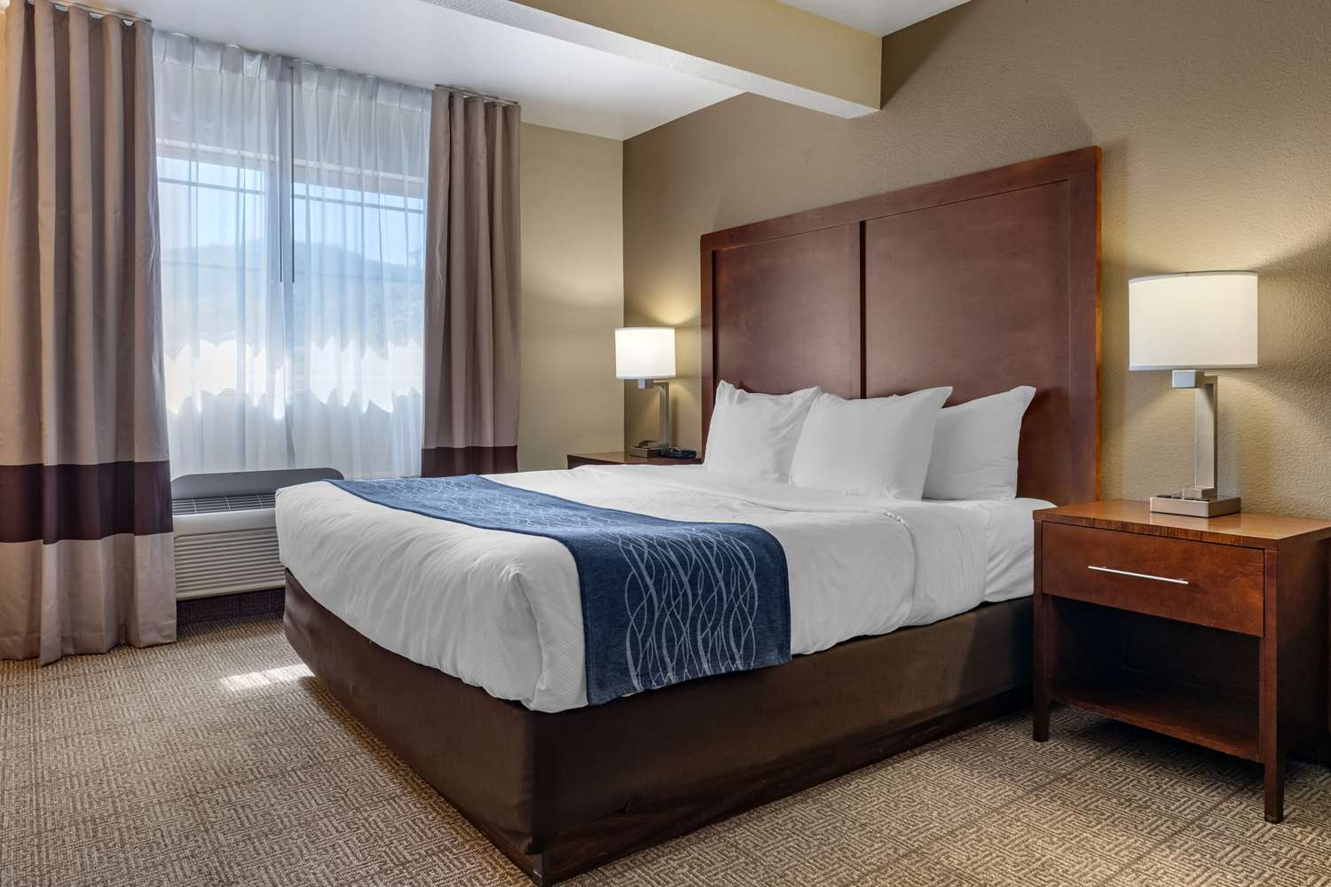 Room, King Bed
