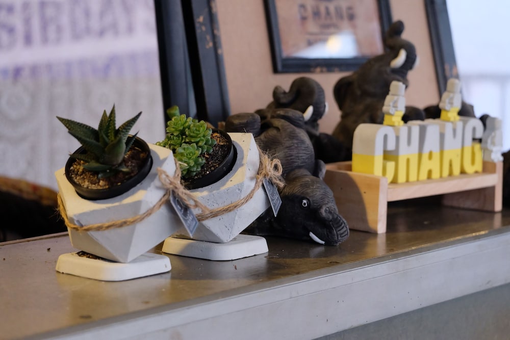Chang旅舍Suvarnabhumi by ZUZU(Chang Hostel Suvarnabhumi by ZUZU) 图片4