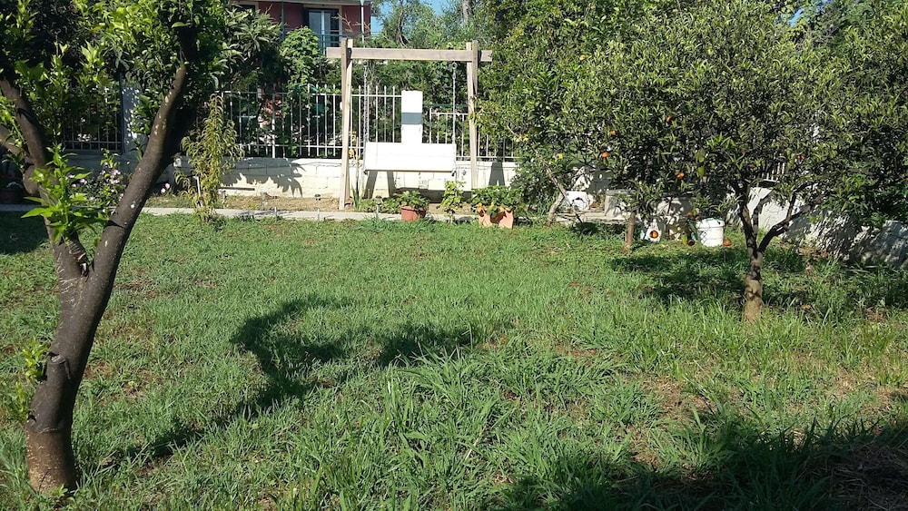 Elena's Garden 29/41