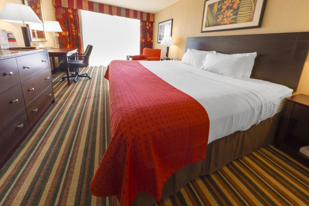 Holiday Inn & Suites Orlando SW - Celebration Area 19/62
