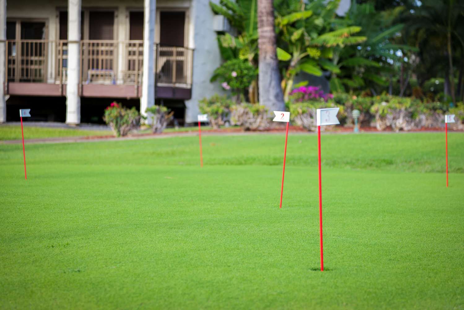 Aston Maui Hill 61/62