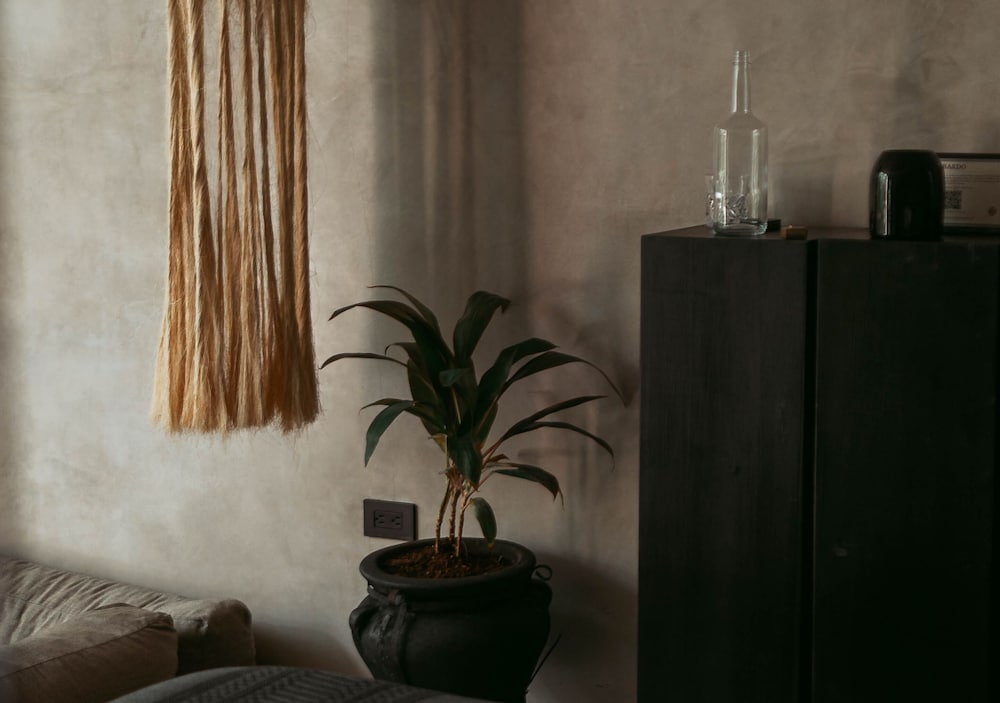 Hotel Bardo 8/50