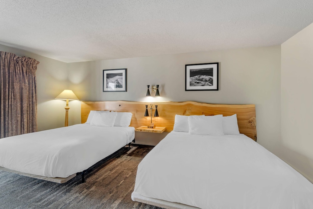 Suite, 2 Queen Beds, Sofa