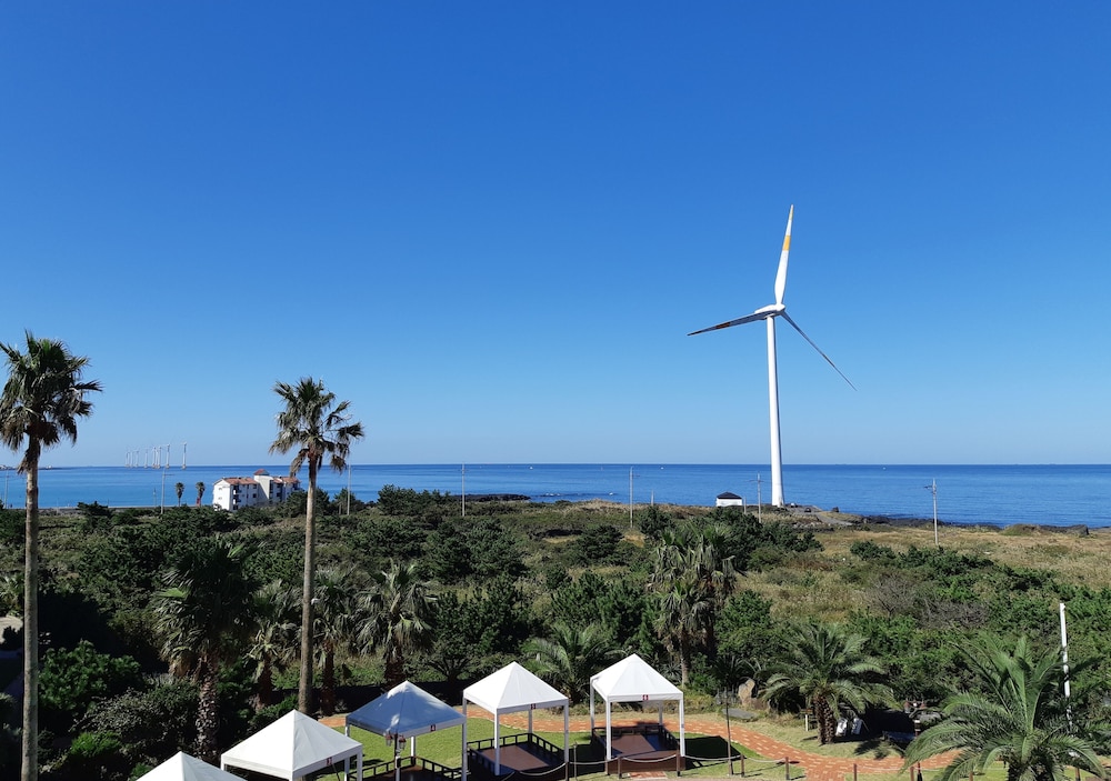 Blue Hawaii Hotel Jeju 17/24