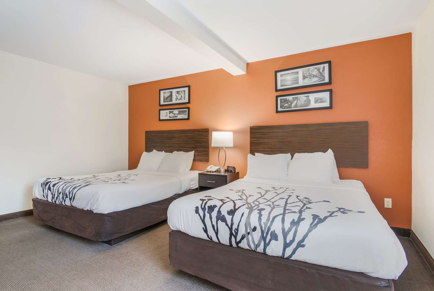 غرفة بسريرين كوين، Sleep Inn & Suites Ronks - Lancaster Area 3/5