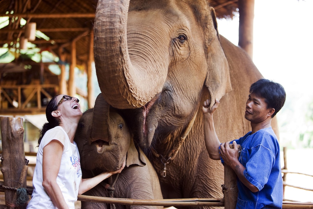 Anantara Golden Triangle Elephant Camp Resort 14/82