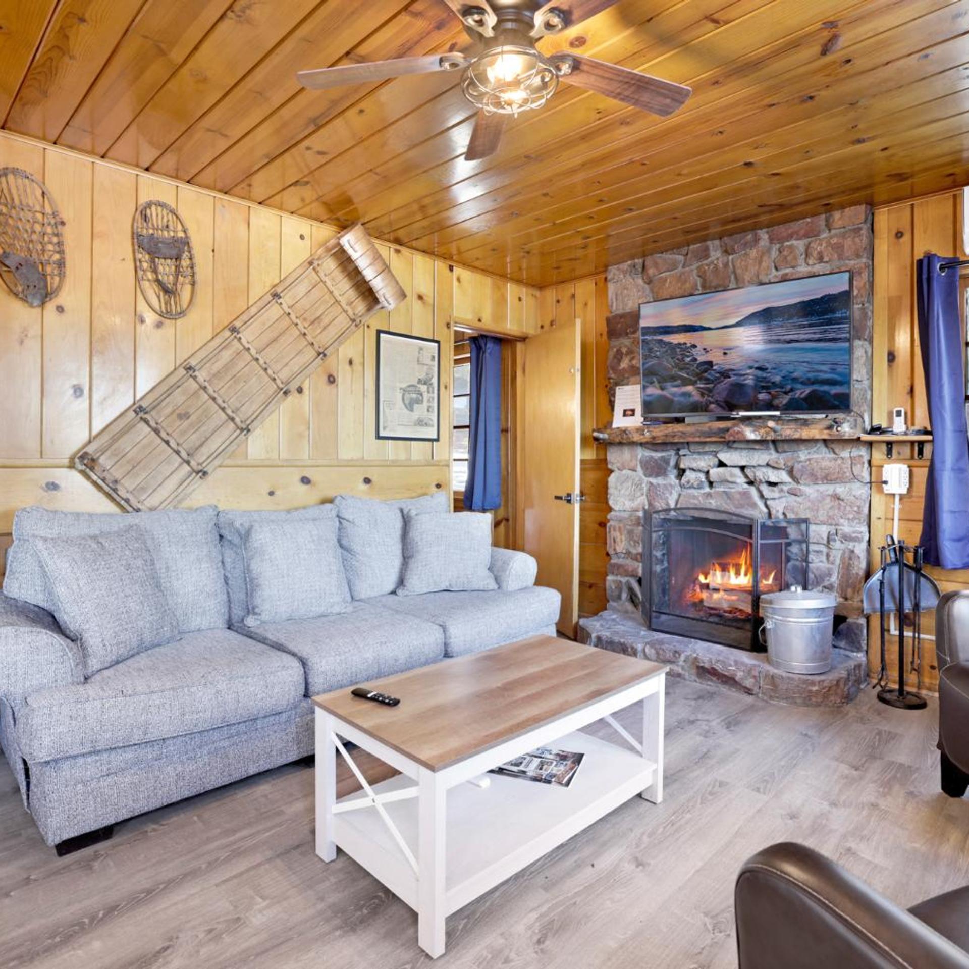 Lakeside Family Cabin by Big Bear Vacations 16/30