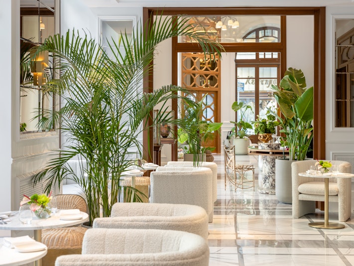 THE DOLLI at Acropolis, A Hotel to Live 40/50