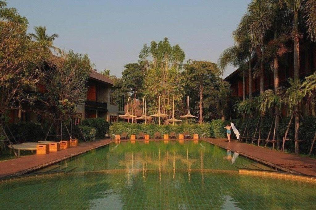 The Buffalo Amphawa 43/54