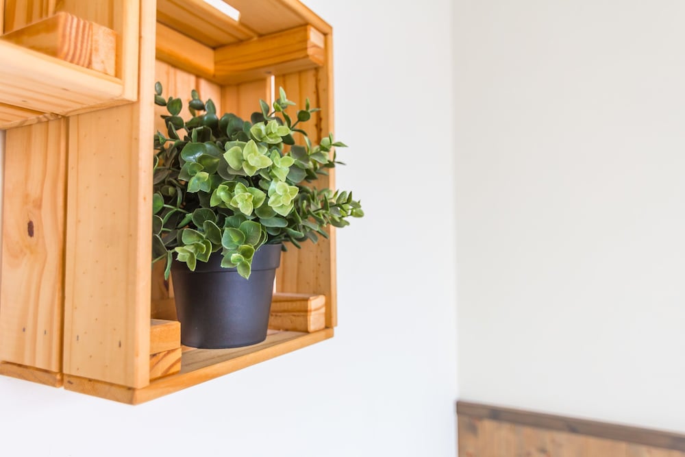 Cozy Green Guest House photo2
