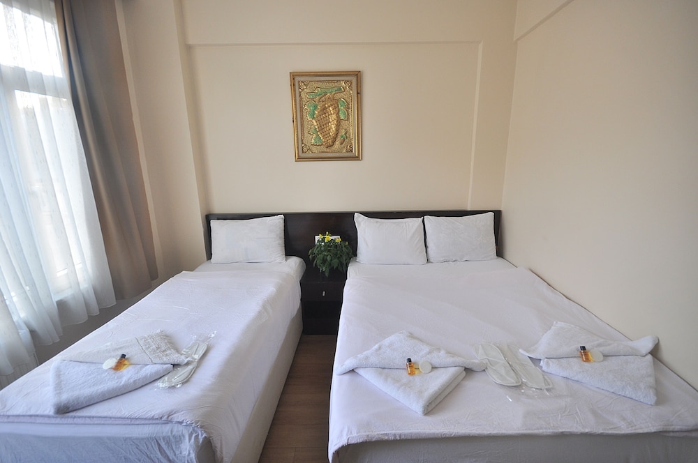 غرفة كلاسيكية ثلاثية بسرير مزدوج وسرير فردي، Hotel Baykal 2/9