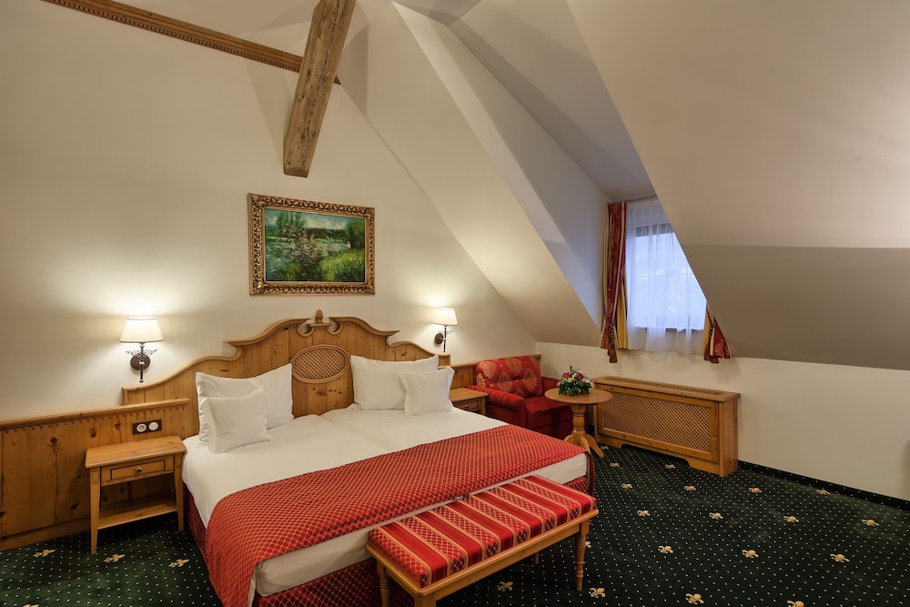 Mercure Sighisoara Binderbubi Hotel And Spa 10/83