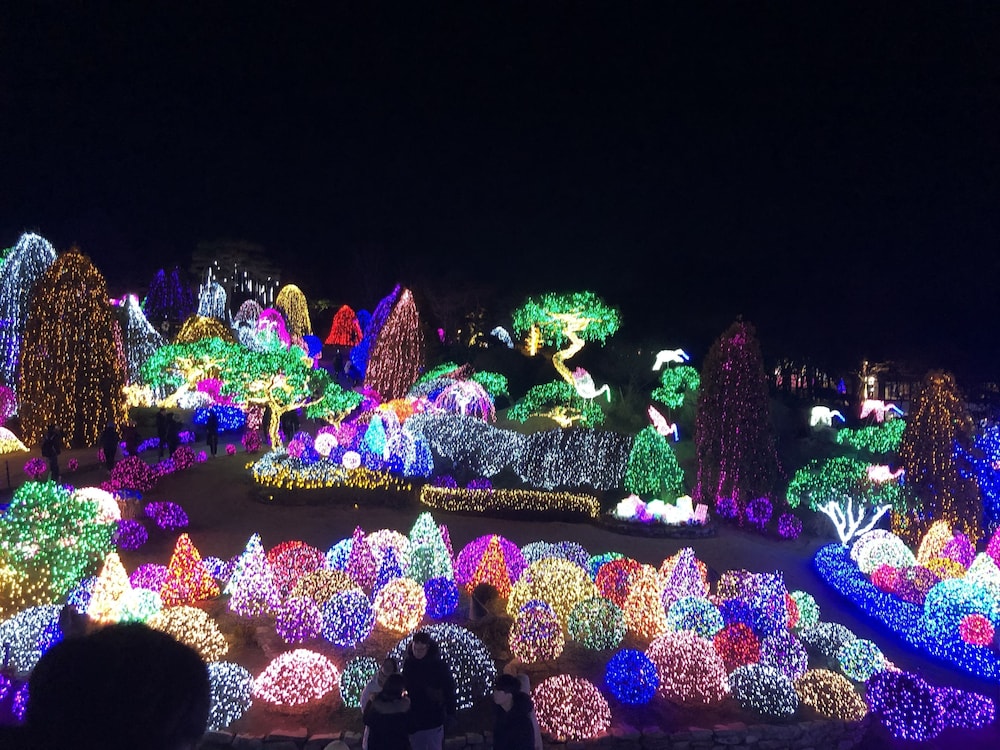 Gapyeong Blossom Pension 32/46