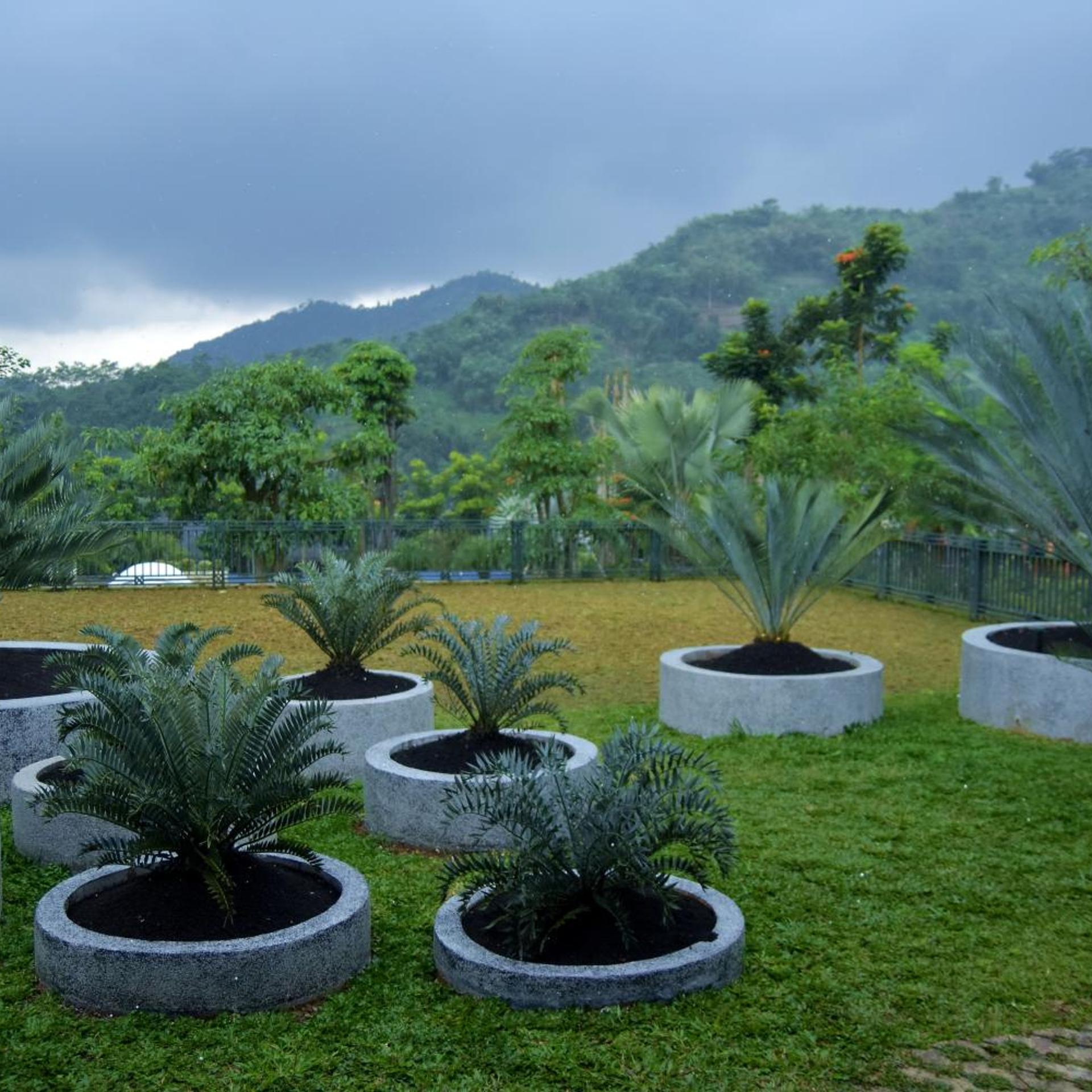 Sarga Earthing Resort 45/50
