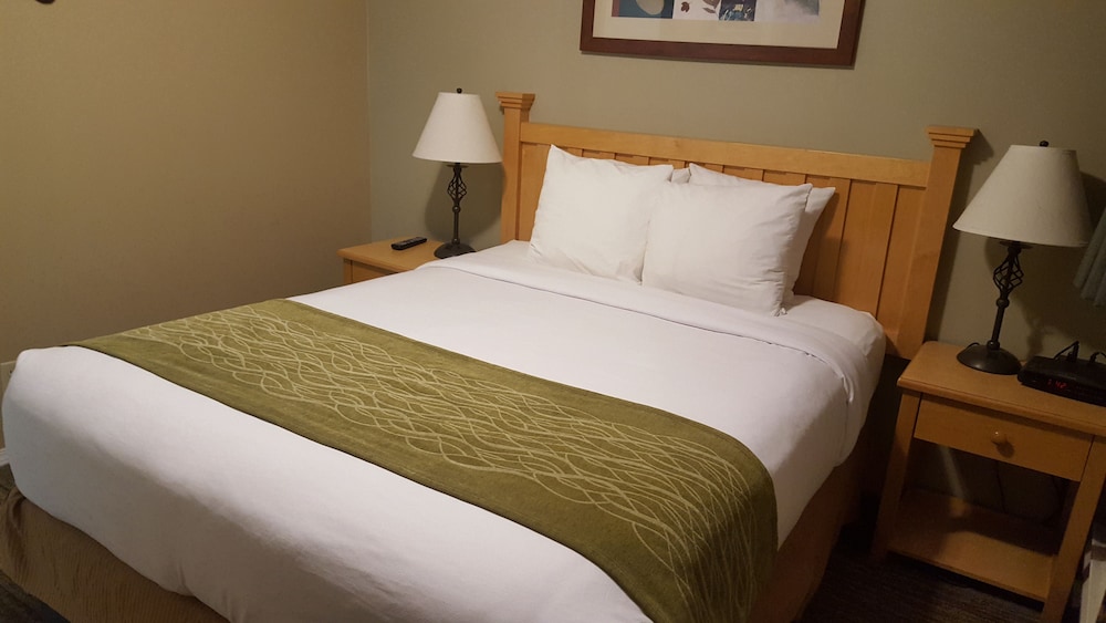Econo Lodge Inn & Suites North Vancouver 23/52