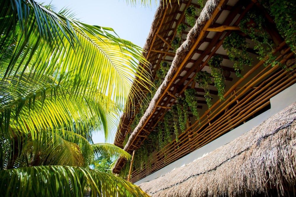 La Palma Holbox 24/34