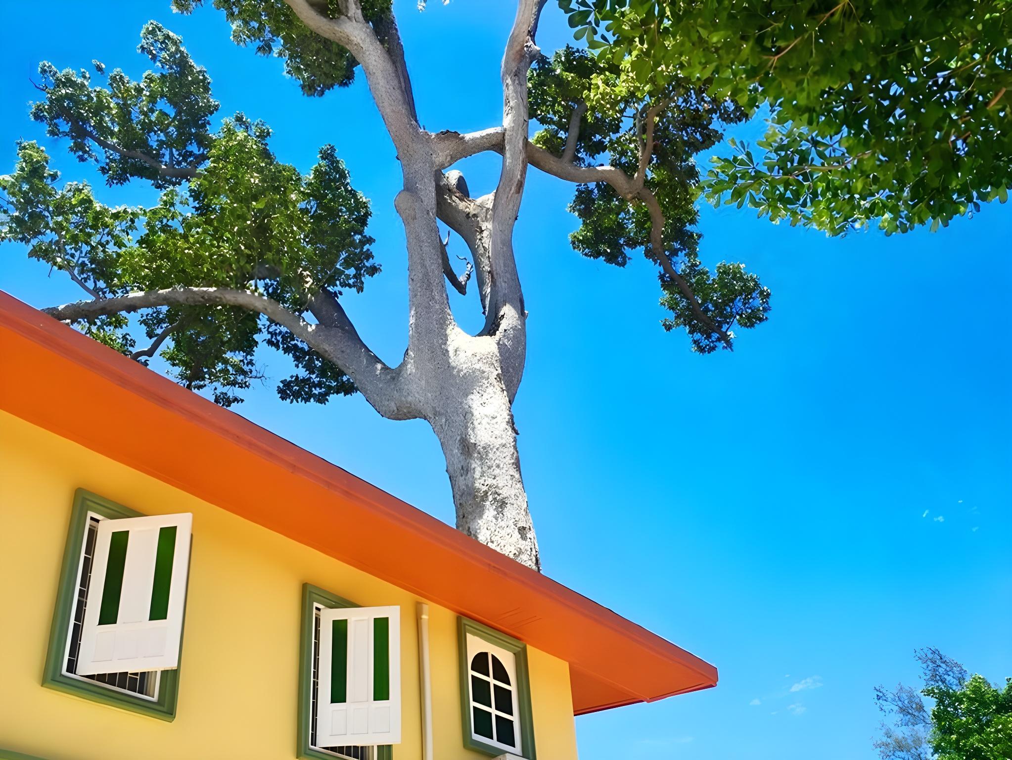 Bann Yang Tree Homestay At Pakchong 41/42