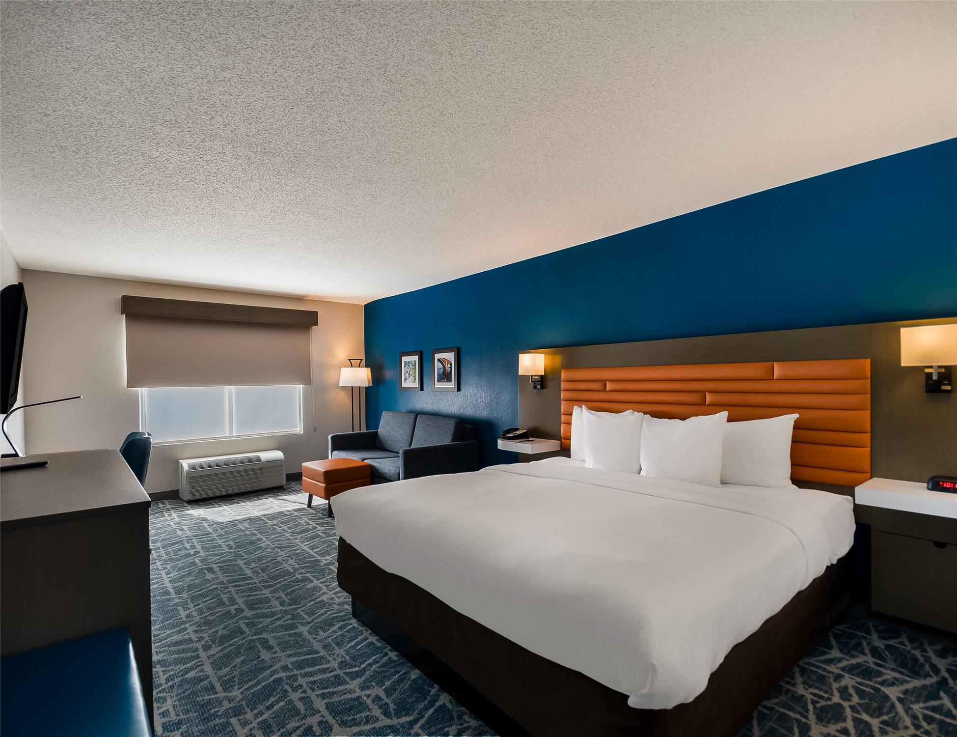 Room, King Bed