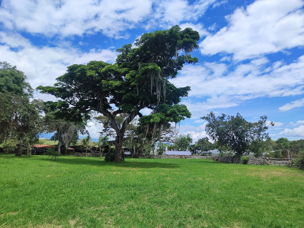 Hacienda El Novillero 42/51